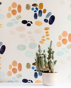 a potted cactus sitting on top of a table next to a wall with colorful circles