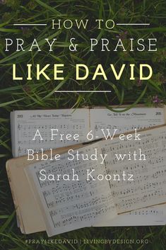 an open book sitting on top of grass with the title how to pray and praise like david