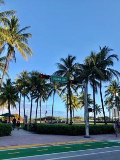 palm trees line the street in front of a stoplight and sidewalk with people walking on it