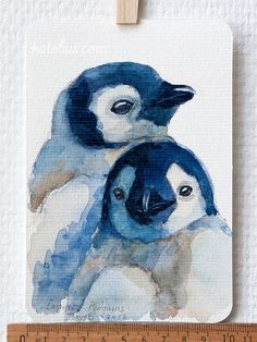 two blue and white birds sitting on top of each other next to a measuring ruler