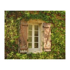 an old window with shutters covered in ivy