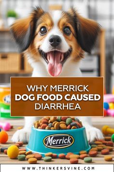 a dog with its mouth open sitting in front of a bowl of food that says, why merrick dog food cause darrhea