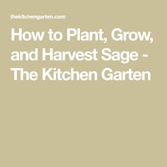 how to plant, grow, and harvest the kitchen gartern by john s