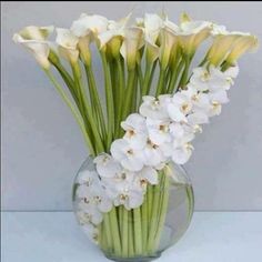 a vase filled with white flowers on top of a table