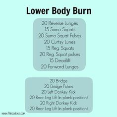 the lower body burn workout plan