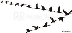 a flock of birds flying across a white sky in the shape of a long line