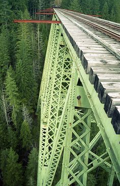 a train traveling over a bridge in the middle of a forest with lots of trees