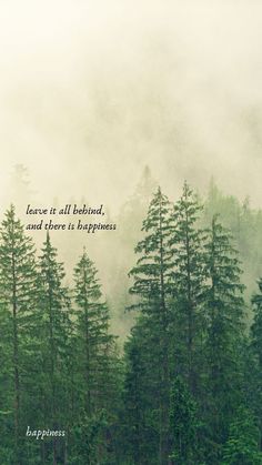 trees and fog with the quote leave it all behind and there is happiness