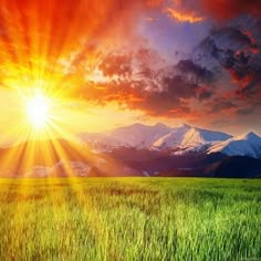 the sun is shining brightly over a green field with snow capped mountains in the background