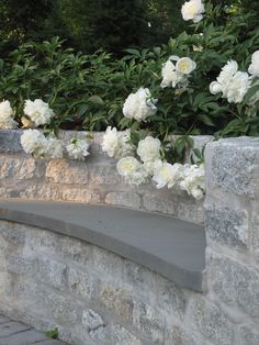 white flowers growing on the side of a stone wall