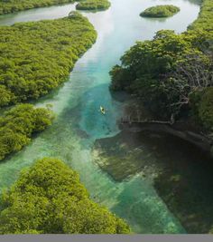 an aerial view of the water and trees