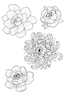 three flowers are shown in black and white