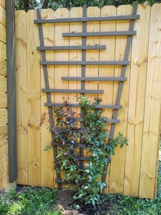 a wooden fence with a plant growing in the center and on it's side