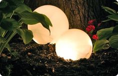 three white lights sitting on top of a pile of dirt next to a tree