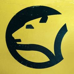 a close up of a yellow and black sign with a cat's head in the center