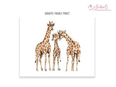 three giraffes standing next to each other in front of a white background