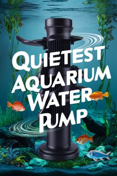 Find peace of mind with a quietly operating aquarium water pump that won't disrupt your home's tranquility. Learn how to choose the right one for a stress-free aquatic experience. Save this pin to remember a calm and peaceful aquarium solution later! Aquarium Pump, Submersible Pump, Find Peace, Water Pump, Finding Peace, Choose The Right