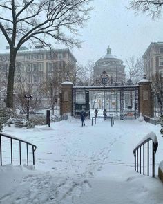 people are walking in the snow near an iron gate