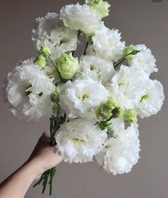 a hand holding a bouquet of white carnations