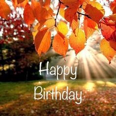 an image of happy birthday card with autumn leaves on the grass and sunbeams in the background