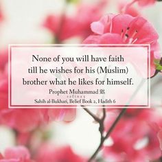 a pink flower with a quote on it that says, none of you will have faith till the wishes for his muslim brother what he likes for himself