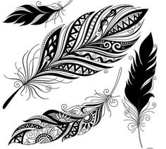 three feathers with intricate designs on them, one is black and the other is white