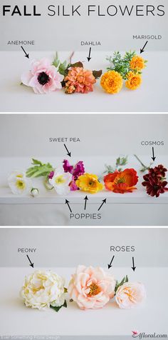 four different types of flowers are shown in this image, with the words fall silk flowers below them