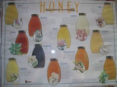 a sign with different types of honey in it