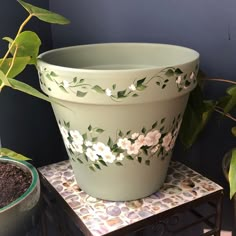 a potted plant sitting on top of a table next to another potted plant