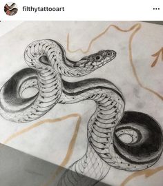 a pencil drawing of a snake on paper