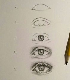 a pencil drawing of different eyes and their corresponding parts are shown in the bottom right hand corner