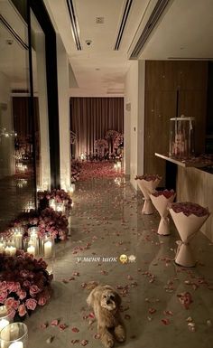 a dog is sitting in the middle of a room with candles and flowers on the floor