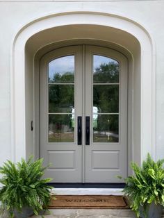 two potted plants sit in front of a double door