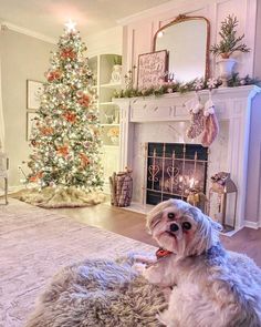 a white dog sitting on top of a shaggy rug in front of a christmas tree