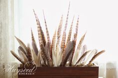 a wooden box filled with lots of feathers on top of a table next to a window