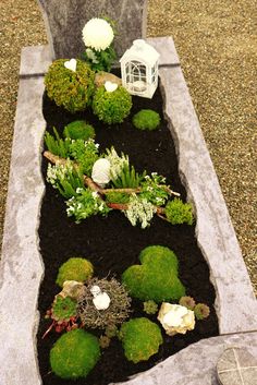 an arrangement of flowers and plants in a rock garden