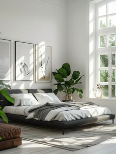 a bed sitting in a bedroom next to a window with potted plants on top of it