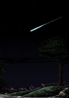 an image of a night scene with a shooting star in the sky above trees and rocks