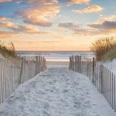 a sandy path leading to the beach at sunset