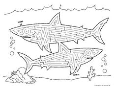 two sharks are swimming in the ocean with their mouths open to help them learn how to draw