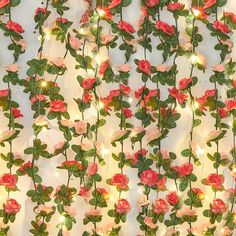 red and pink flowers with green leaves on a white wall covered in fairy string lights