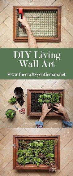 the diy living wall art is made from wood and wire, with plants growing in it