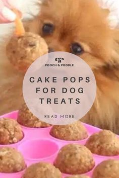 dog treats for dogs cake pops Dog Cake Pops, Homemade Dog Treat Recipes, Peanut Butter Dog Treats