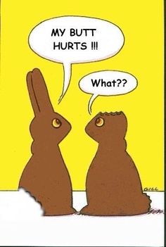 Funny Easter Pictures, Easter Memes, Easter Funny, Jesus Easter, Quotes Hilarious, Easter Quotes, Far Side, Humor Hilarious, Hilarious Humor