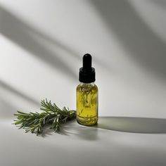 Description Say hello to hair growth on the go with our Travel-Size Rosemary Hair Growth Oil! 🌿 Packed into a convenient 1oz bottle, this potent blend is perfect for slipping into your purse or gym bag—so you can keep those luscious locks growing wherever life takes you. Infused with over 30 powerful herbs, including rosemary, thyme, cinnamon, and fenugreek, our hair oil is designed to support fast, healthy hair growth naturally. It nourishes the scalp, strengthens hair strands, and adds a heal Rosemary Hair Growth Oil, Hair Growth Naturally, Rosemary Oil For Hair Growth, Rosemary Hair Growth, Rosemary Hair, Rosemary Oil For Hair, Hair Strands, Scalp Health, Herbal Blends