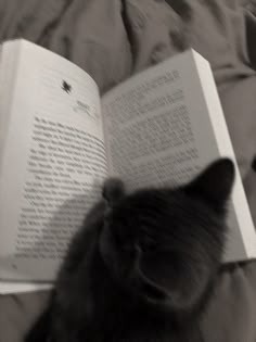 a black cat sitting on top of a bed next to an open book