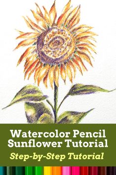 Watercolour Pencils Flower Painting Tutorial