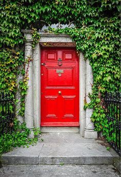 a red door with ivy growing over it and the words, the widow on halloween next door