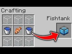 the fish tank in minecraft with an arrow pointing to it's left side