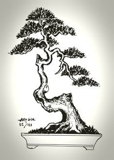 a black and white drawing of a bonsai tree